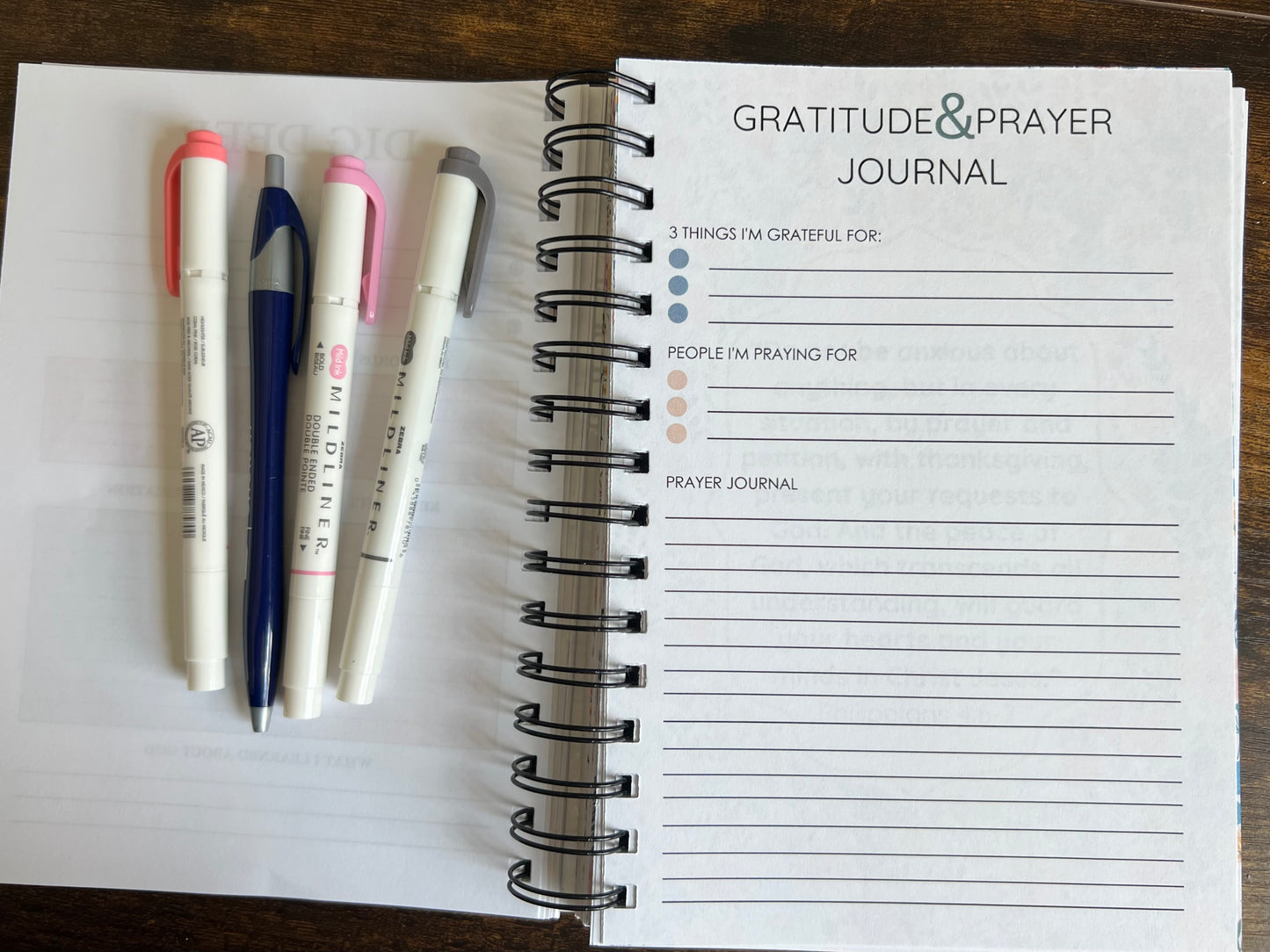 Promises of God, Bible study journal spiral edition