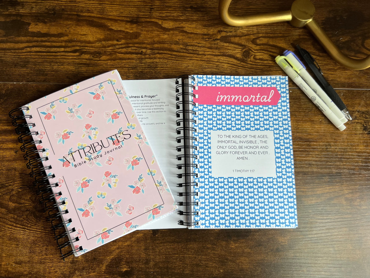 Attributes of God, Bible Study Journal spiral edition