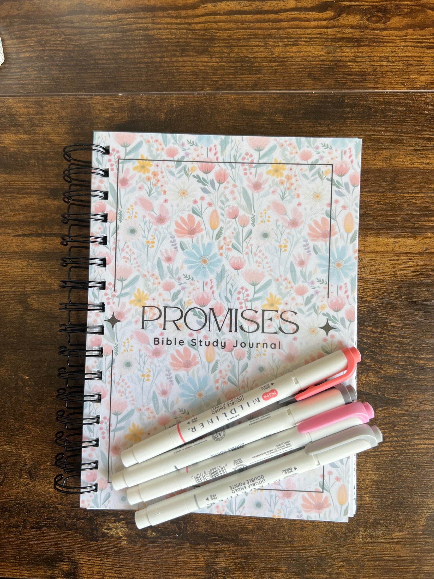 Promises of God, Bible study journal spiral edition